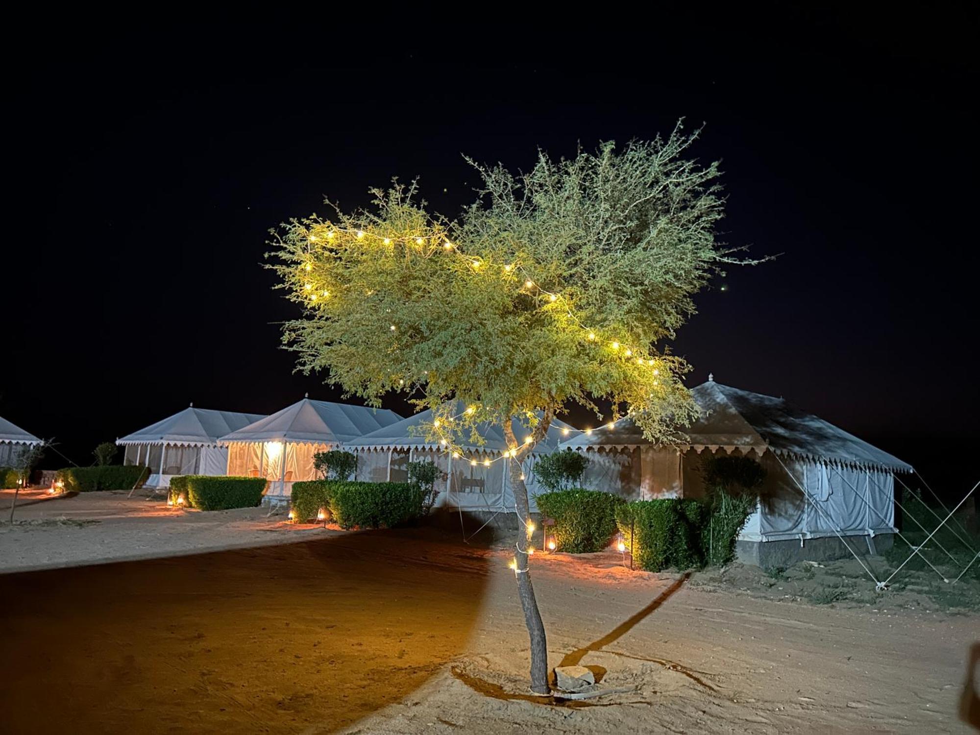 Sunny Desert Camp Kūri Extérieur photo